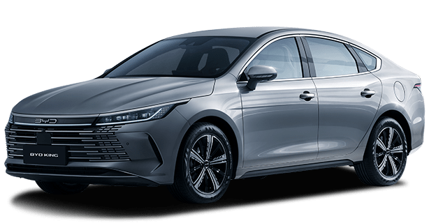 完美真人 KING GS