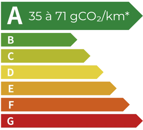完美真人 EV Energy Level Label