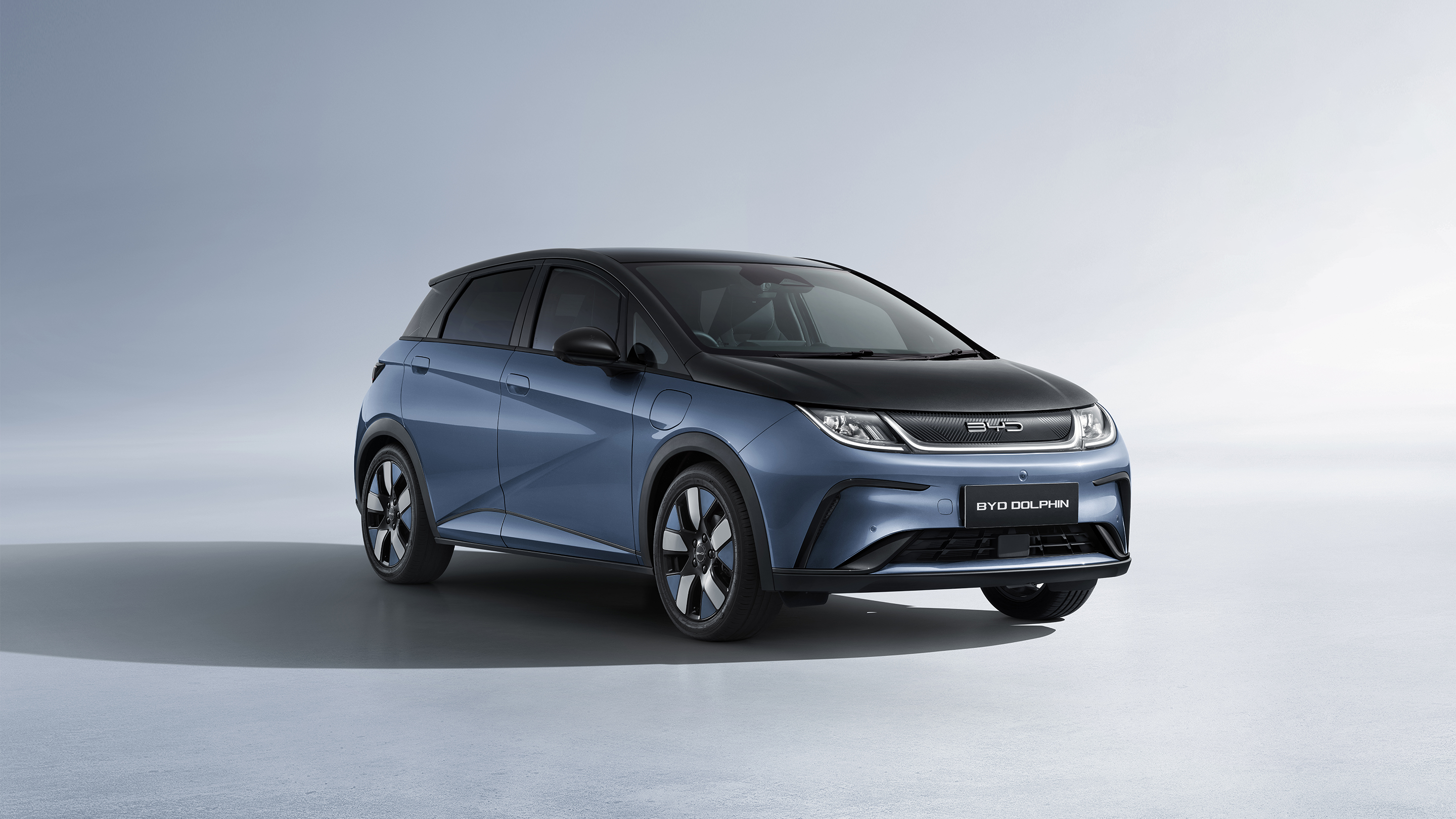 完美真人 Dolphin